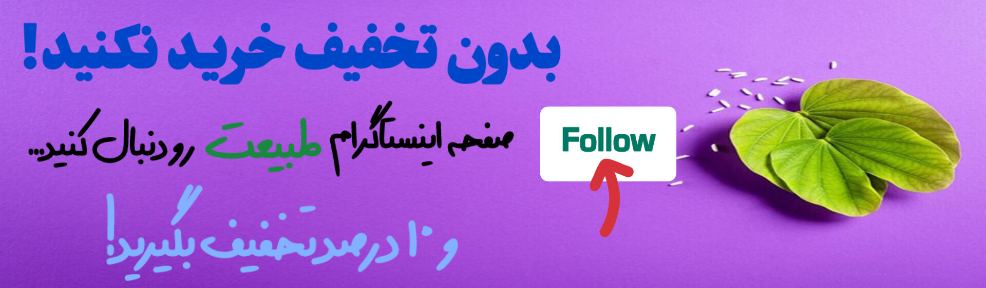 پیج اینستاگرام و دنبال کن