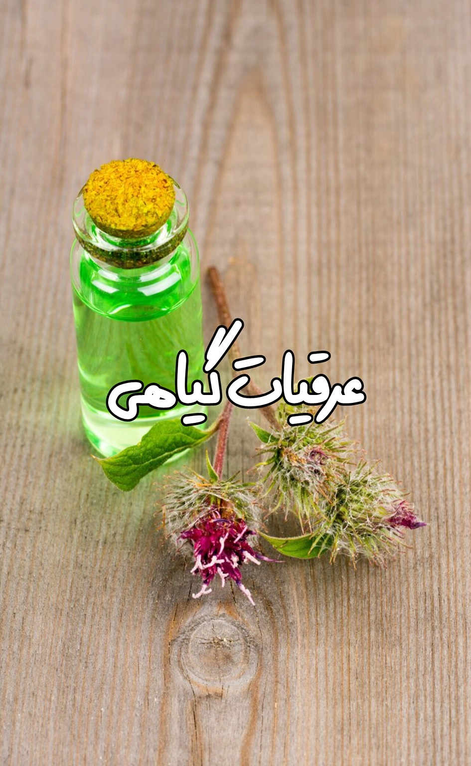 خرید عرقیات طبیعی و ارگانیک