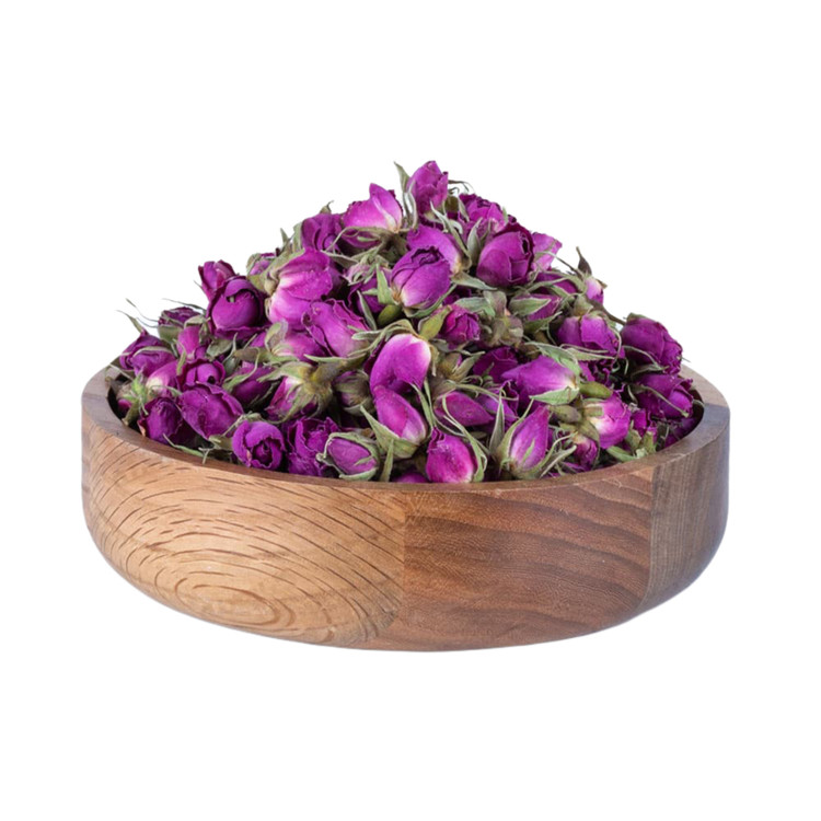 خرید غنچه گل محمدی