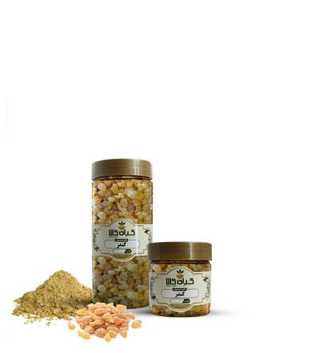 خرید صمغ کندر خشک یا پودری بسته بندی