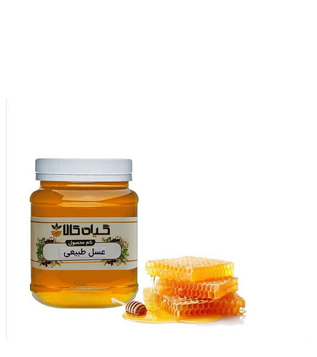 خرید عسل ارگانیک 500 گرمی