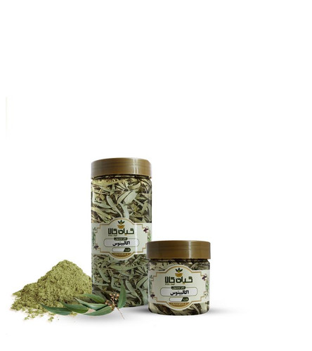 خرید گیاه اکالیپتوس خشک یا پودری بسته بندی